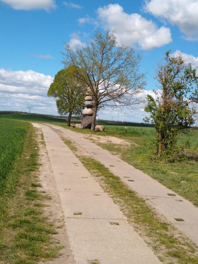 Ferienwohnung Amende Angermunde Buitenkant foto